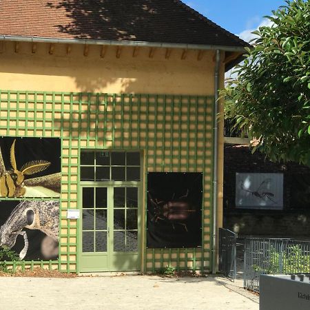 Charmante Maison Bourguignonne Avec Grand Jardin Et Parking Montbard Exterior photo